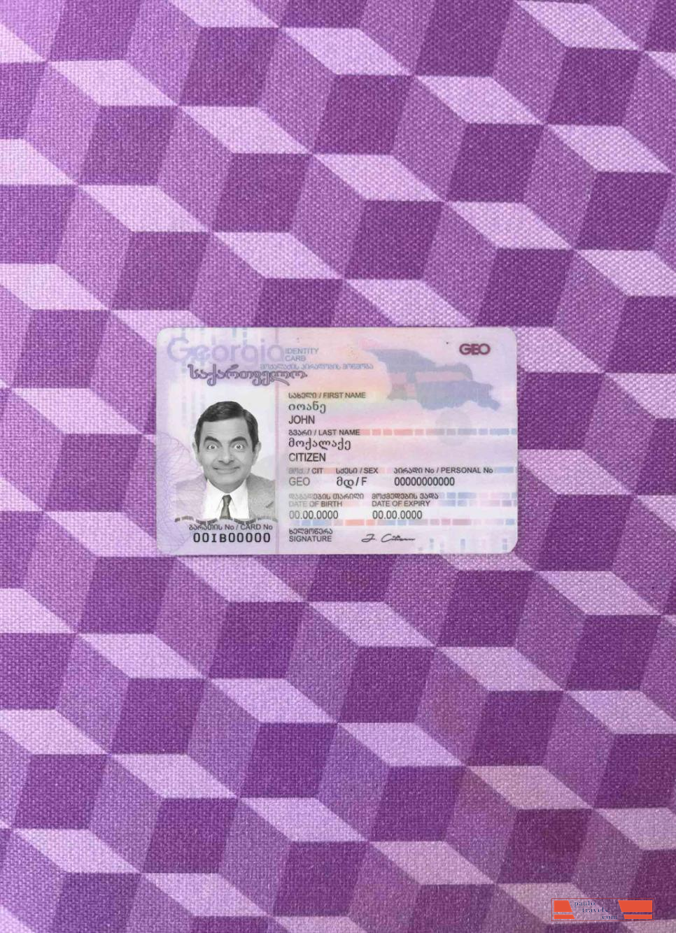 Georgia ID photolook FRONT PSD template